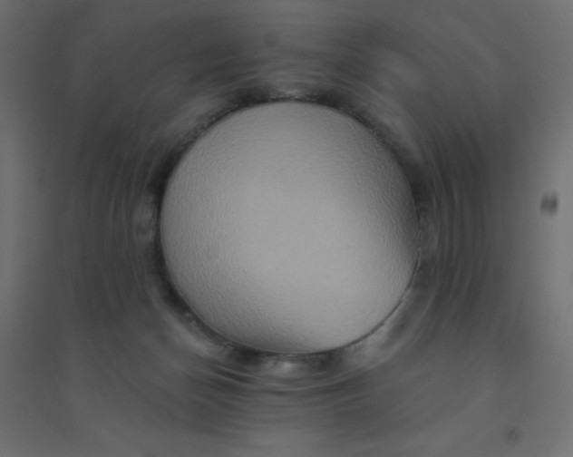 X0000094460174200711211548