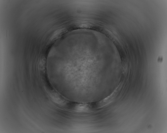 X0000094460175200711211548