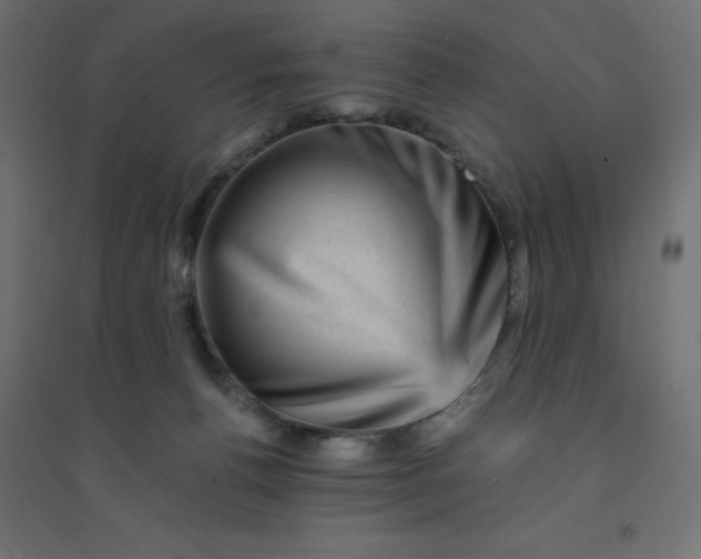 X0000094460176200711211548