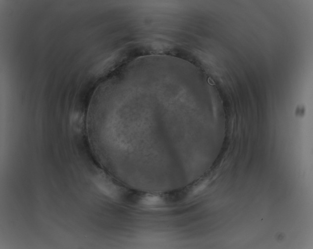 X0000094460177200711211549