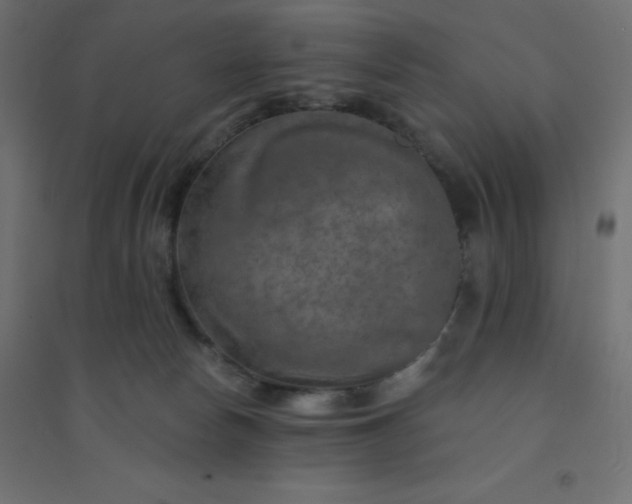 X0000094460178200711211549