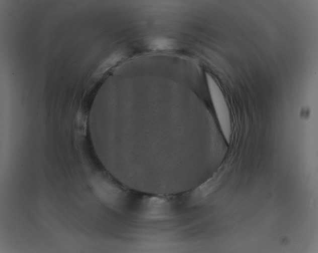 X0000094460180200711211549