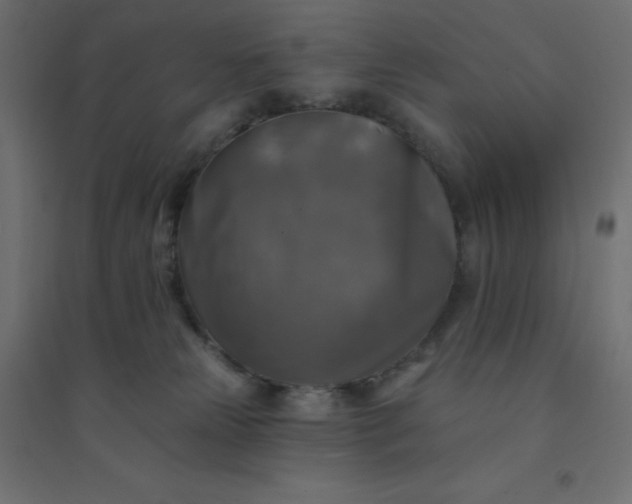 X0000094460181200711211549