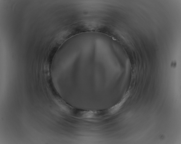 X0000094460182200711211549