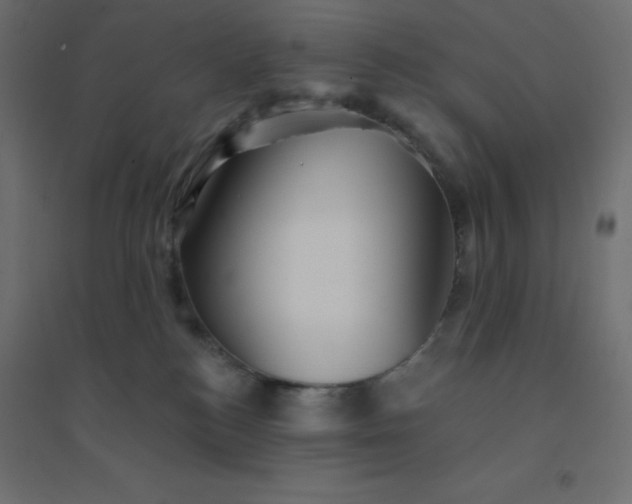 X0000094460184200711211549