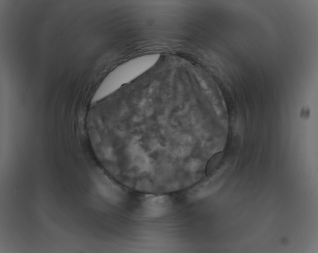 X0000094460185200711211549