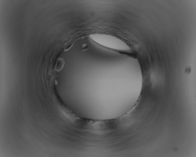 X0000094460186200711211549