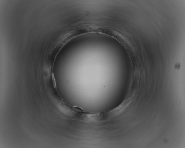 X0000094460188200711211549