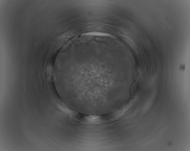 X0000094460189200711211549