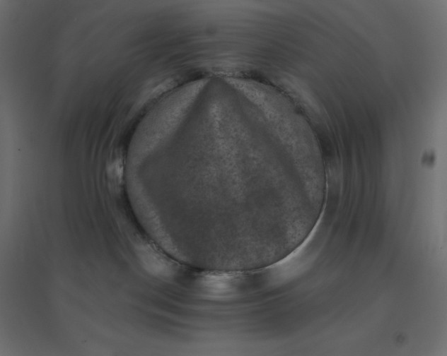 X0000094460190200711211549