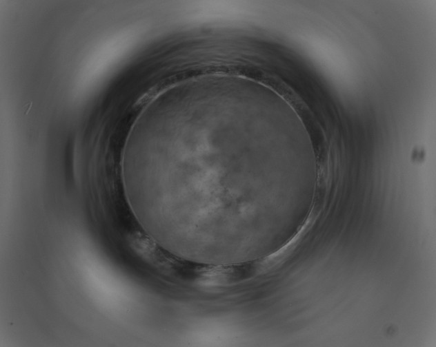 X0000094460191200711211549