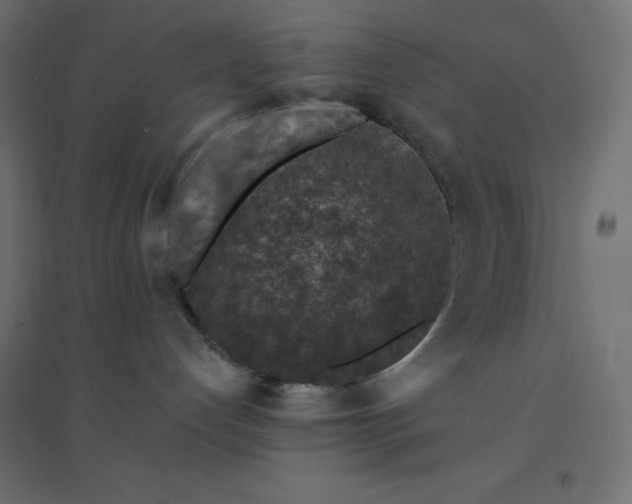 X0000094460192200711211549