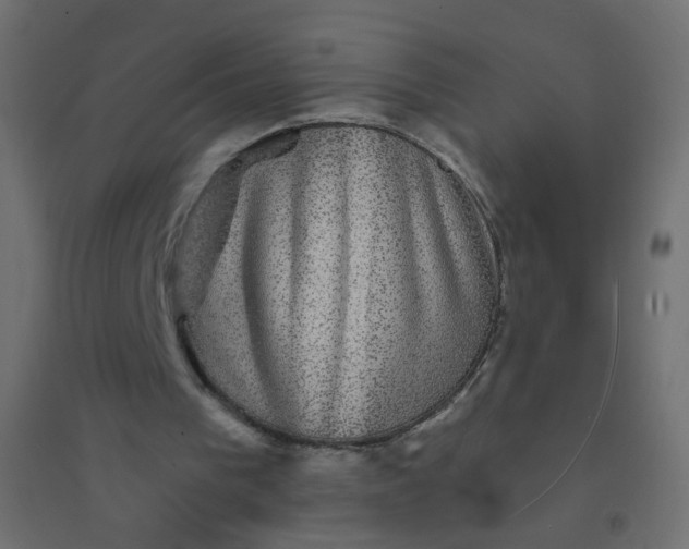 X0000094460193200711211548