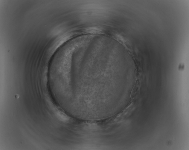 X0000094460194200711211548