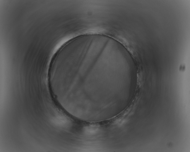 X0000094460196200711211548