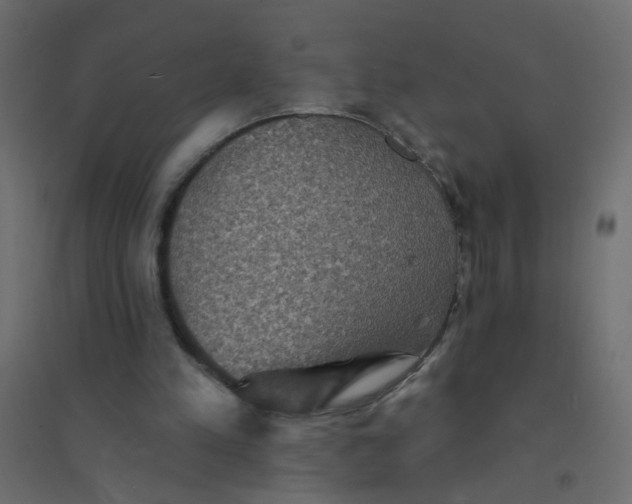 X0000094460197200711211548