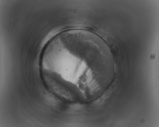 X0000094460198200711211548