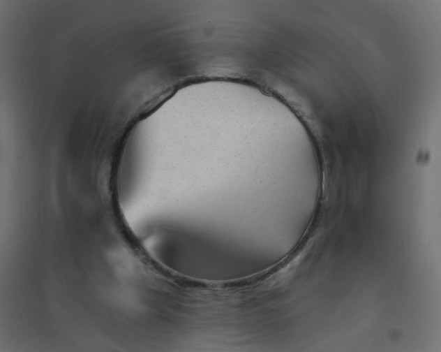 X0000094460201200711211548