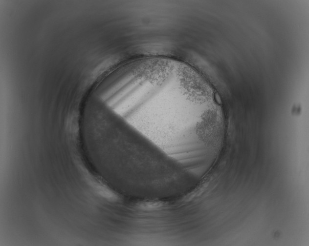 X0000094460202200711211548