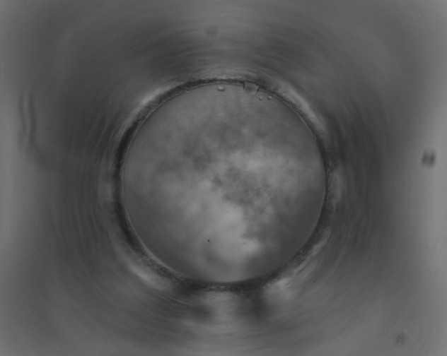 X0000094460203200711211548