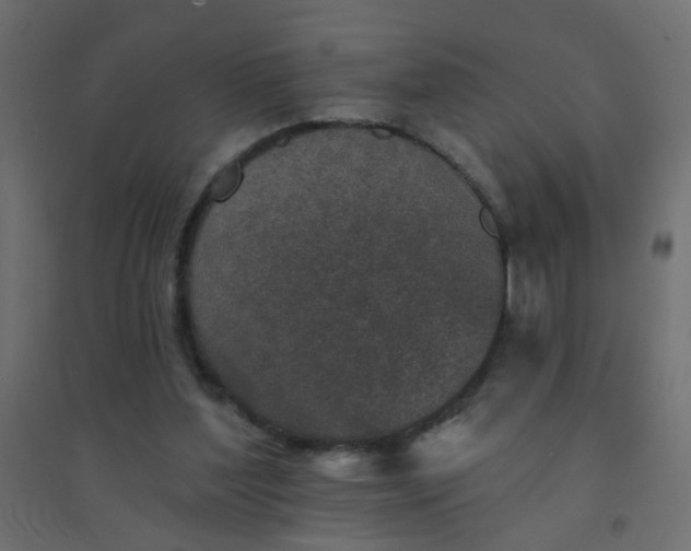 X0000094460204200711211548