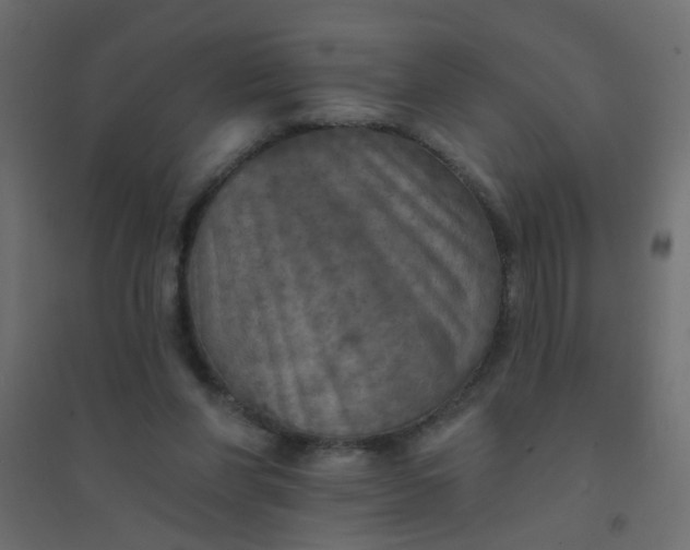 X0000094460206200711211548