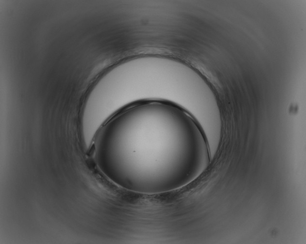 X0000094460207200711211548