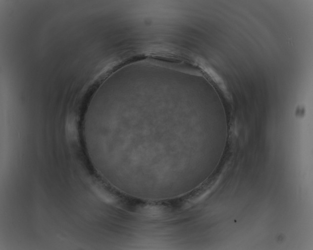 X0000094460209200711211548