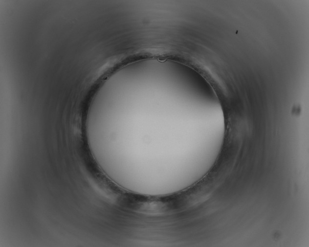 X0000094460212200711211548