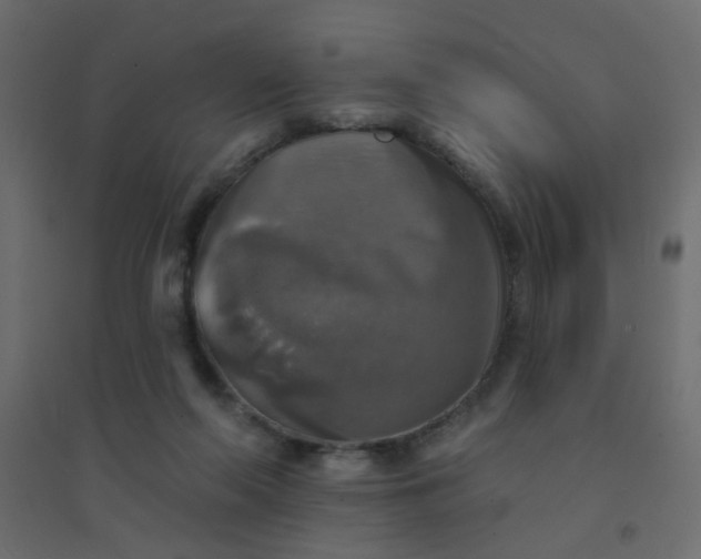 X0000094460214200711211548