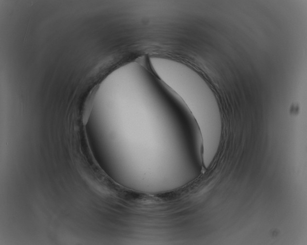 X0000094460215200711211548