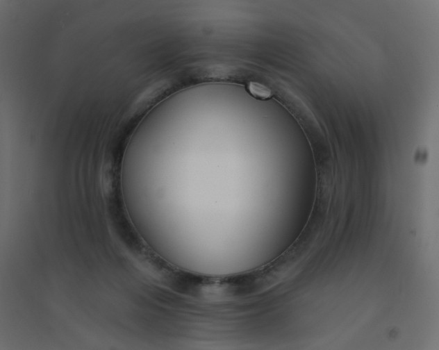 X0000094460216200711211548