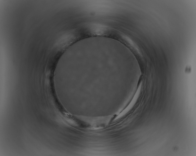 X0000094460217200711211548