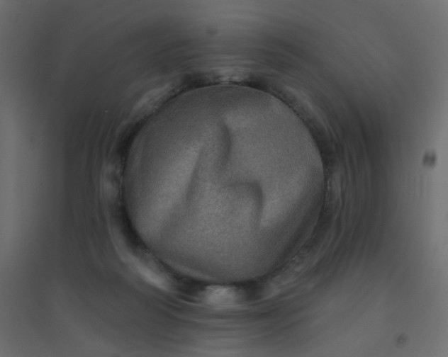 X0000094460218200711211548