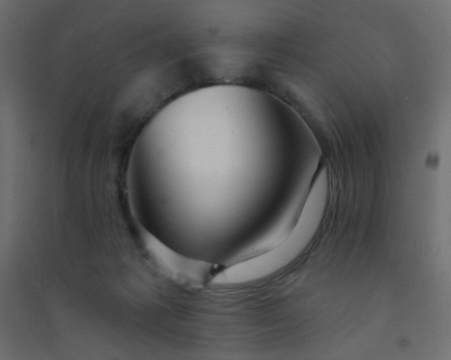 X0000094460221200711211548