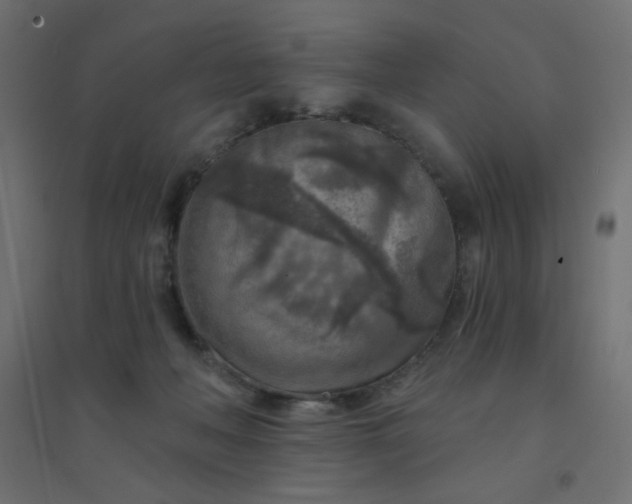 X0000094460222200711211548