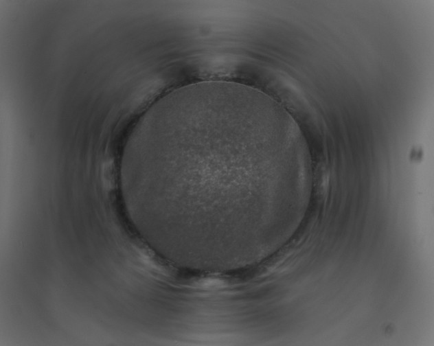 X0000094460224200711211548