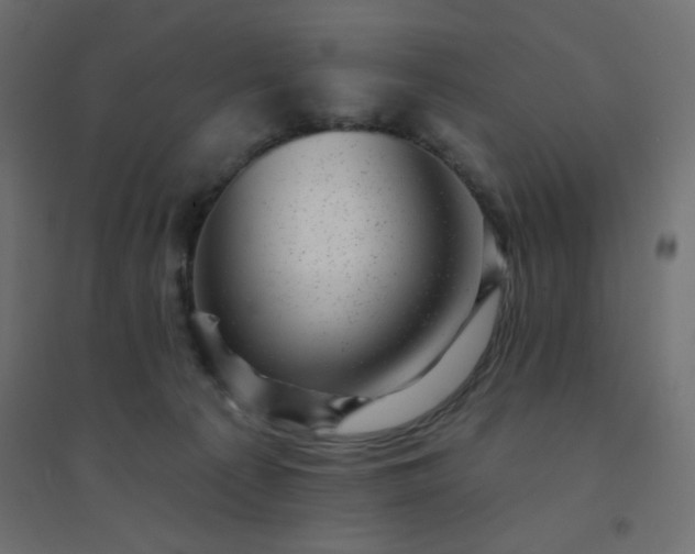 X0000094460225200711211548