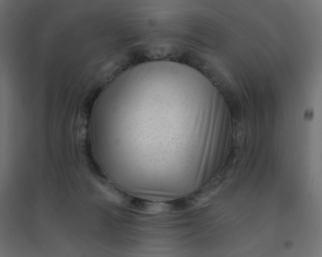 X0000094460226200711211548