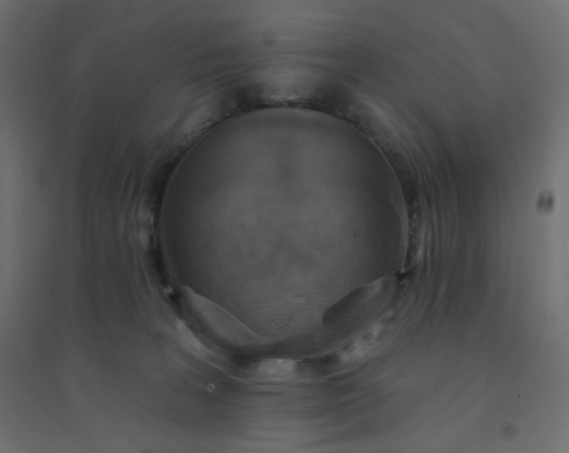 X0000094460227200711211548