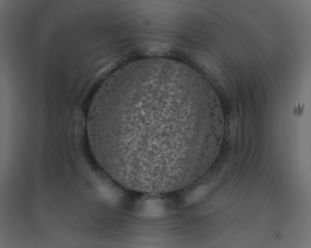 X0000094460228200711211548