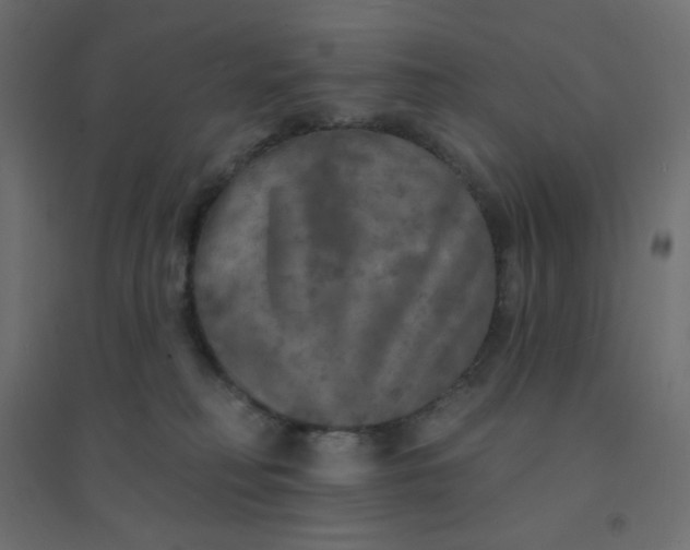 X0000094460230200711211548