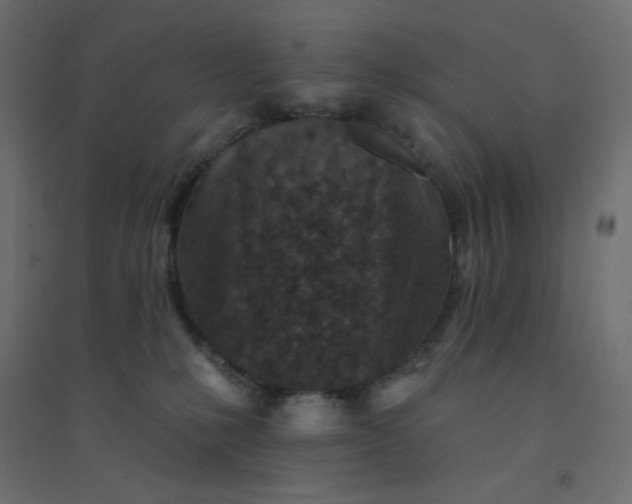 X0000094460231200711211548