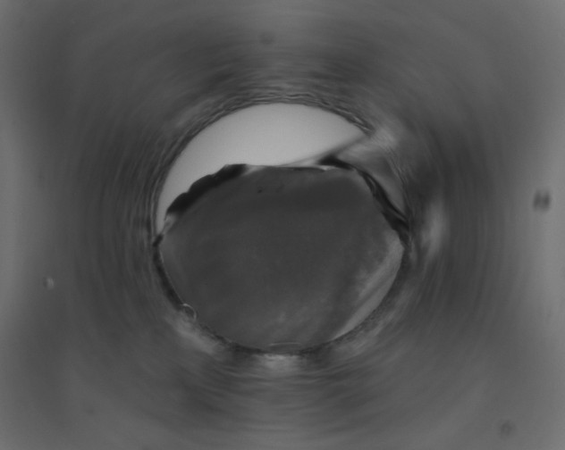 X0000094460233200711211547