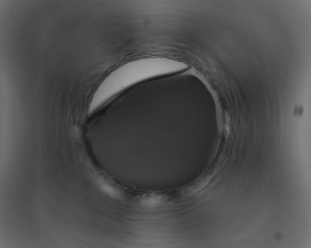 X0000094460235200711211547