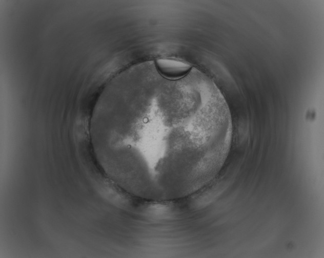 X0000094460236200711211547