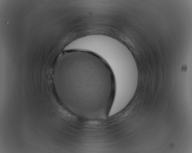 X0000094460237200711211547