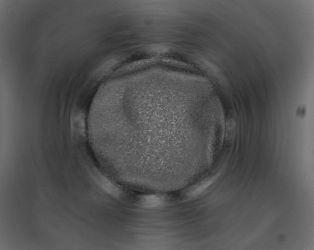 X0000094460238200711211547