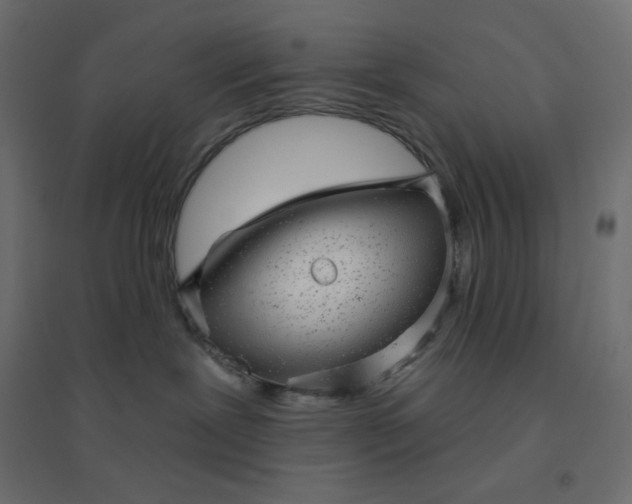 X0000094460239200711211547