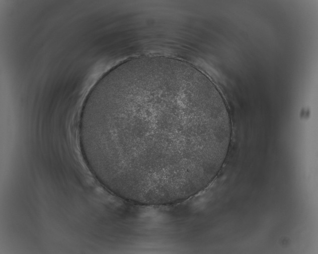 X0000094460241200711211547